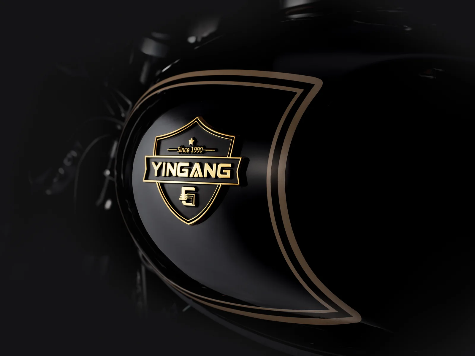 YINGANG RSC300 detail 14