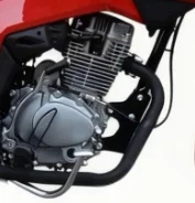 YINGANG TITAN 150 detail 2