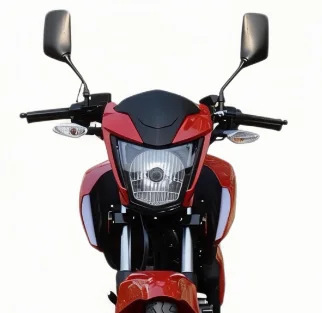 YINGANG TITAN 150 detail 3